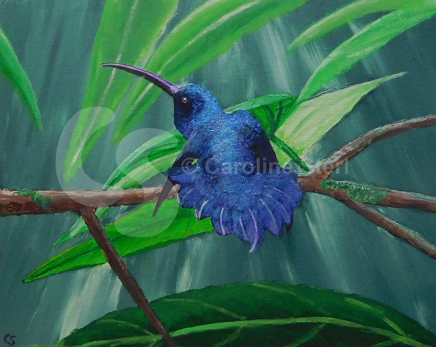 Painting: Violet Sabrewing